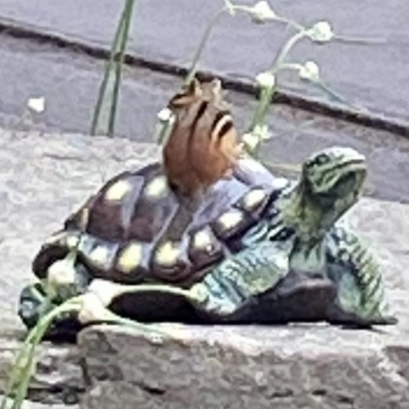 Meet your Posher, Linda - Picture 7 of 7